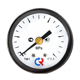 Манометр ТМ-110Т.00(0-2,5MPa)M10x1.2,5